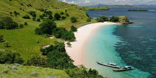 Wonders of Komodo National Park