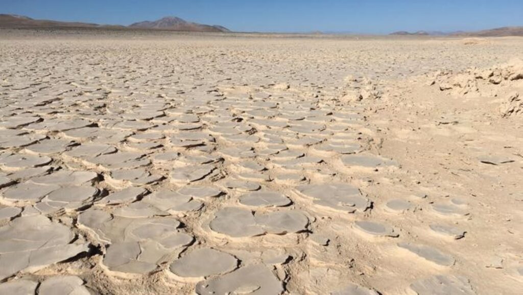 Underground Biosphere Found Below Atacama Desert