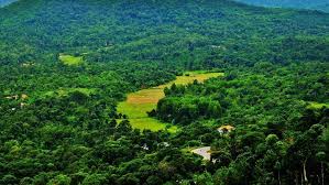 Coorg, Karnataka